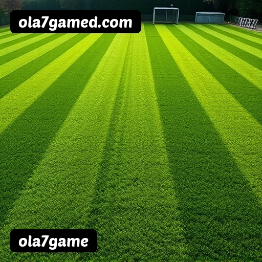 ola7game APP mobile iOS Android - 187 mil downloads São Paulo Rio BH